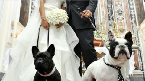 Volete il cane al vostro matrimonio? Ci pensa wedding dog sitter – 105.net