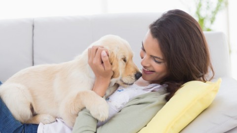 Fai le vocine al tuo cane anche se non è più cucciolo? – Petpassion.tv
