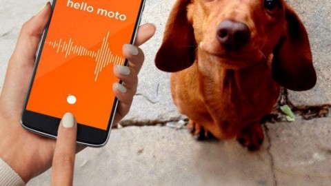Motorola annuncia la nuova Moto Mod per Moto Z per parlare con i … – HDblog (Blog)