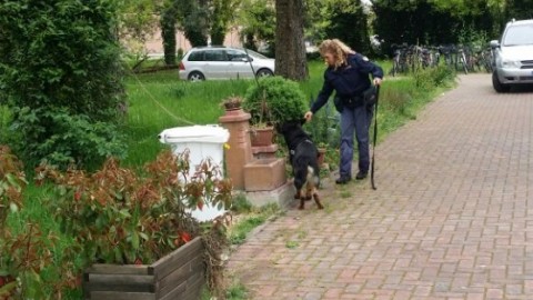 Cani antidroga davanti alle scuole: controlli e sequestri – La Nuova Ferrara