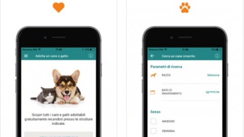 La Regione Lombardia lancia l'app “Zampa a zampa” per l'adozione … – iPhoneItalia – Il blog italiano sull'Apple iPhone