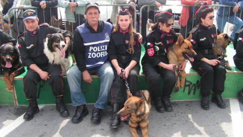 Domenica prossima la Lega del Cane organizza il 'Raduno degli … – SanremoNews.it