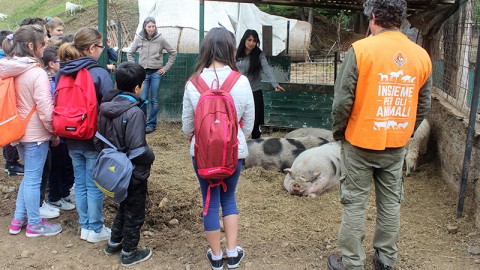 Gli studenti incontrano gli animali con LAV e VITADACANI