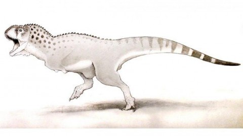 Paleontologia: scoperto l'ultimo dinosauro vissuto prima delll … – Scienzenotizie.it (Comunicati Stampa) (Blog)