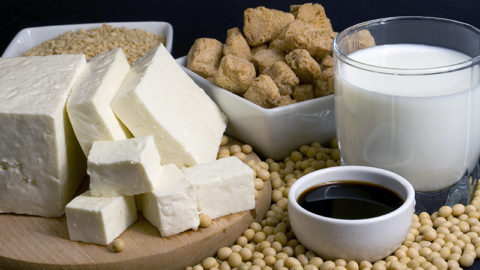 Latte o formaggio veg? Dichiarazione LAV su sentenza Corte Giustizia UE