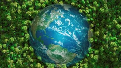 Giornata Mondiale dell'Ambiente: il clima lo cambi tu