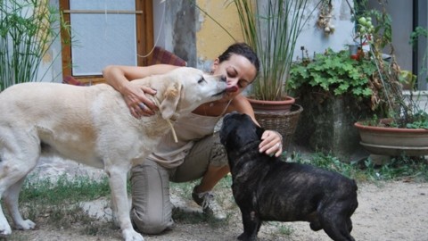 In viaggio con i nostri animali domestici: il parere di Marina Menichelli – ValdarnoPost