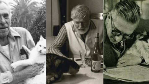 Scrittori e gatti, da Baudelaire a Bukowski – Libreriamo