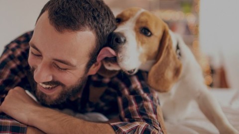 DogBuddy sceglie Adaptil®: un aiuto importante per i cani affidati ai … – Velvet Pets