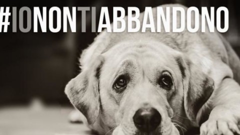#ionontiabbandono: la campagna della Lega del cane | | Il Secolo XIX – Il Secolo XIX