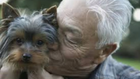 Anziani: con un animale in casa si vive meglio – Il blog giornale del … – InfoVercelli24