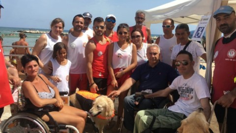 Disabilità, in spiaggia a Bari con un amico cane – La Gazzetta del Mezzogiorno