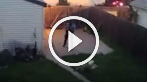 Poliziotto spara ai cani nel cortile di casa senza un motivo … – Leggo.it