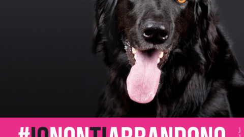 #ionontiabbandono, la campagna contro l'abbandono dei cani – Radio Lombardia