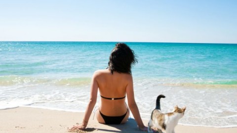 In spiaggia con il gatto, tutti i consigli utili – ViaggiNews.com