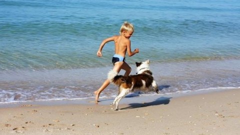 Pediatri e veterinari: i cani in spiaggia fanno bene ai bambini, ecco … – Il Messaggero