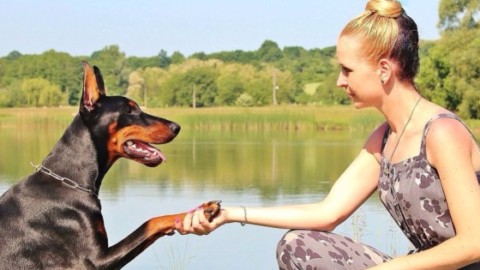Perché il cane è il migliore amico dell'uomo? È una questione … – 105.net