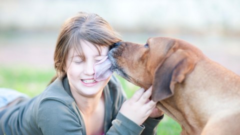 Farsi leccare sulla bocca dal cane può essere letale – Impronta Unika