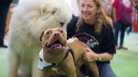 Camogli. Premio fedeltà del cane di San Rocco: due Premi bontà – Levante News