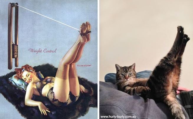 Un'illustrazione di una pin-up ed un gatto in pose identiche