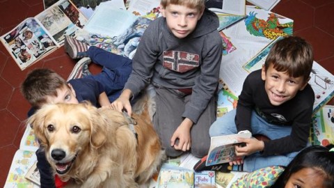 I bambini, la lettura e l'aiuto dei cani| Buone notizie oggi gratis in … – Corriere della Sera