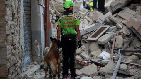 I 5 cani più coraggiosi d'Italia: chi sono gli eroi che ci salvano la vita … – Scienze Fanpage