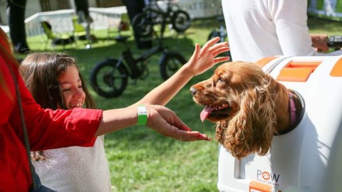 “QuattroZampeInFiera”: a Napoli l'evento più atteso per cani e gatti – Velvet Pets