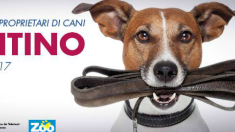 Iniziata l'ottava edizione del corso per proprietari di cani – Cremonaoggi (Comunicati Stampa) (Registrazione)