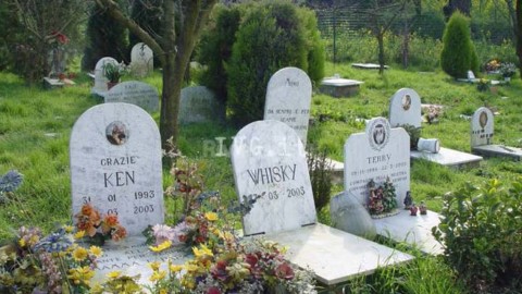 Cimitero per animali, pressing M5S: “Inapplicata la legge regionale … – Liguria 24 (Blog)