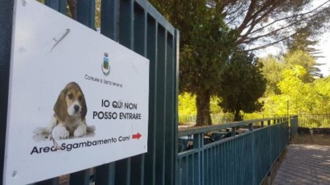 Non rispetta divieto di ingresso cani al parco: pestato con calci e pugni – La Sicilia