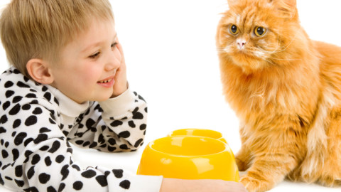 Rapporto gatti e bambini: consigli per una convivenza sicura – Vita Da Mamma