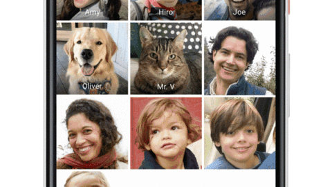 Google Foto sa riconoscere il vostro gatto (e anche il cane) – Smartworld