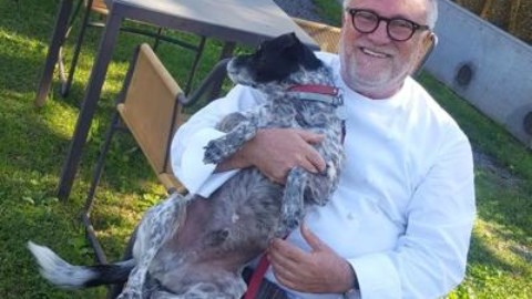 Cani e gatti abbandonati trovano casa dallo chef stellato – Adnkronos