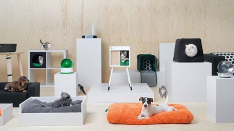 IKEA ha lanciato una linea di mobili per animali domestici – FoxLife