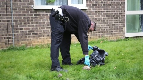 Gb, serial killer di gatti semina il panico nei dintorni di Londra: finora … – Il Messaggero