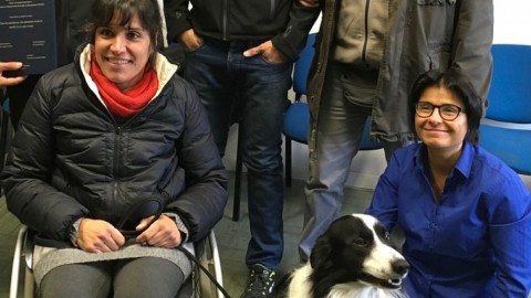 Sanità, si addestrano cani per aiutare i disabili – Qui News Pisa