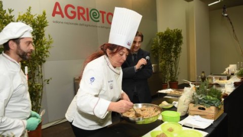 AgrieTour chiude con buon riscontro di pubblico e operatori: “Anche … – Arezzo Notizie