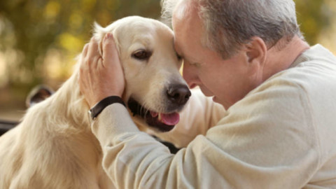Con un cane per amico migliora la salute: meno infarti e ictus – BergamoNews.it