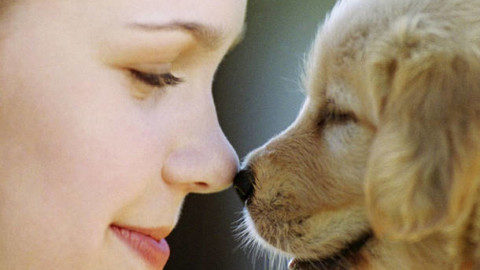 Conosci il tuo cane? Trucchi e consigli per capirsi meglio … – Varese News