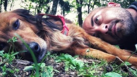 Cane ritrovato dopo 20 giorni lontano da casa – Giornale di Como