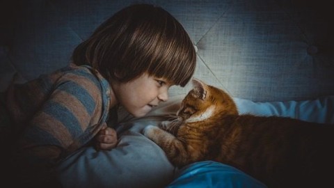 I bambini che nascono con un gatto in casa rischiamo meno di … – Scienze Fanpage