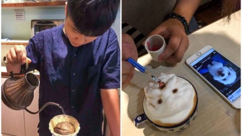 La barista che ritrae gli animali dei clienti negli incredibili cappuccini … – dissapore