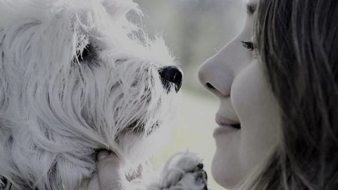 Guardare negli occhi il cane: cosa gli comunichiamo? Cosa vuol … – Riviera24.it