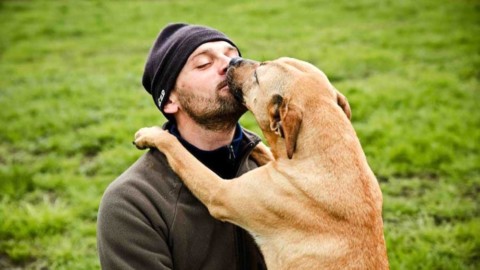 'Come (e perché) scegliere un cane': alla Ubik arriva il dog-trainer … – FoggiaToday