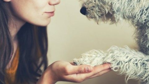 I cani capiscono se stiamo male? – Donna Moderna