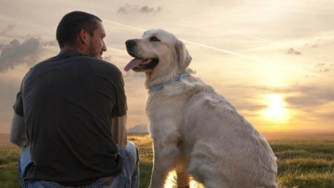 “Camminando insieme”, storie di cani portatori di benessere – Meteo Web