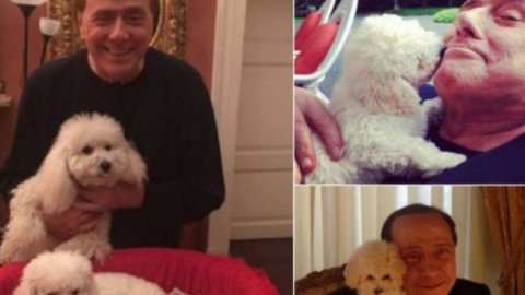 Animali domestici, Berlusconi: 'Sgravi fiscali per chi adotta cani e gatti' – Blasting News