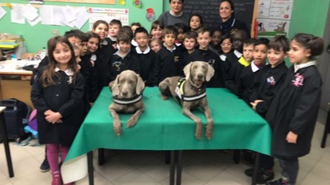 'Un cane per amico', progetto educativo per i bambini delle scuole di … – gonews