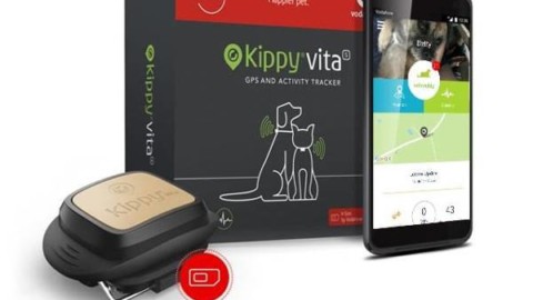 Cuccioli connessi ed al sicuro con i tracker GPS – Webnews