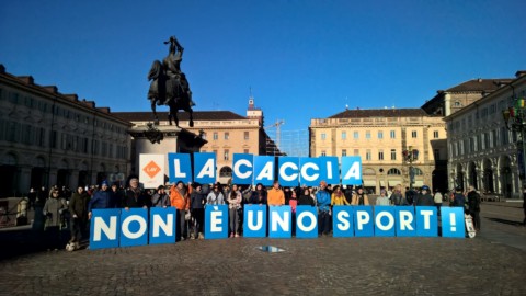 #BASTASPARARE a Torino: Decathlon riconverta suo reparto caccia